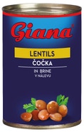Giana Čočka ve slaném nálevu