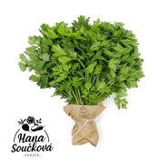 Farma Hana Součková Petržel hladkolistá čerstvá, svazek
