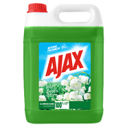 Ajax Floral Fiesta univerzální čisticí prostředek