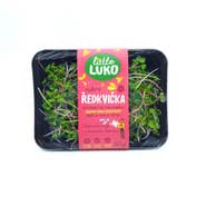 Little Luko Výhonky Ředkvička růžová čerstvé