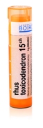 Boiron RHUS TOXICODENDRON CH15 granule 4 g