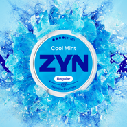 ZYN Cool Mint 11 Regul. 14,3 g (16,2 mg)