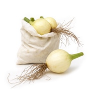 Farma Hana Součková Cibule kuchyňská, balení 1kg