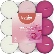 Bolsius Čajové svíčky Pink Orchid
