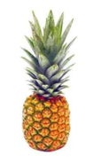 Ananas Extra Sweet