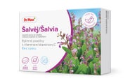 Dr.Max Šalvěj Bylinné pastilky s vitaminem C bez cukru 24 pastilek