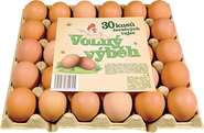 Schubert Vejce z volného výběhu CZ