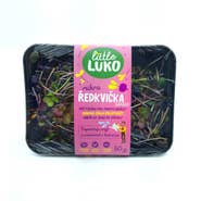 Little Luko Výhonky Ředkvička fialová čerstvé
