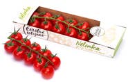 Čerstvě utrženo Rajčata cherry červená kulatá na stonku "Nelinka", balení