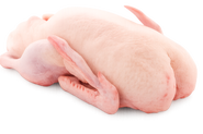 Kachna bez drobů, mražená