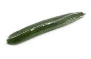 BIO Okurka