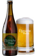 Lenoch Světlé výčepní pivo PET