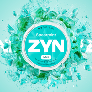 ZYN Spearmint 6 Mini 8g (15mg)