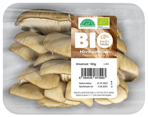 České houby BIO Hlíva ústřičná, vanička