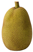 Jackfruit čerstvý 