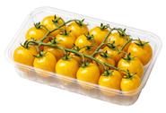 Rajčata Cherry žlutá keříková, vanička