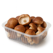Holoubek & pravnuci s.r.o. Shiitake čerstvá, vanička