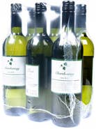 Víno Podivín Podivín Chardonnay 6x750ml