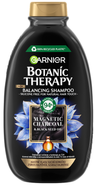 Garnier Botanic Therapy Charcoal Šampon