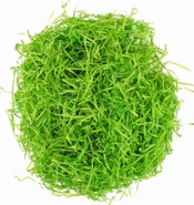 Anděl Přerov Tráva dekorační dřevěná, zelená, 50 g