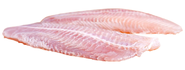 Mořský vlk filet