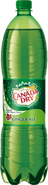 Canada Dry Ginger Ale