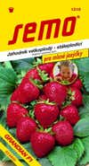 Semo Jahodník velkoplodý - stálepodící - GRANDIAN F1