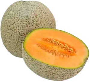 Náhled kategorie Meloun Cantaloupe, 1 ks