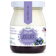 Agrola Jogurt z Jižních Čech Borůvka
