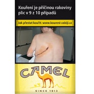 Camel Yellow KS