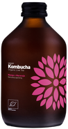 Vigo Kombucha Mango a maracuja BIO
