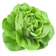 Salát hlávkový, 1ks