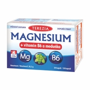 Terezia company Terezia Magnesium + vitamin B6 a meduňka 30 kapslí 