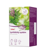 Dr.Max Lymfatický systém bylinný čaj 20x1,5 g