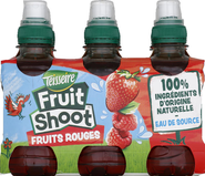 Fruit Shoot Lesní ovoce 6x0,2l
