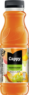 Cappy Multivitamin 50 % nektar 