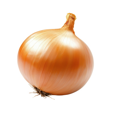 Czech Republic product data sample: Cibule kuchyňská žlutá, 1 ks